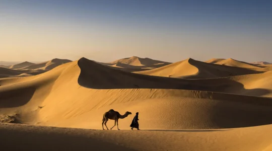 Vast golden desert dune sea at sunrise with a small robed figure and camel silhouette emphasizing the scale between human culture and desert geography