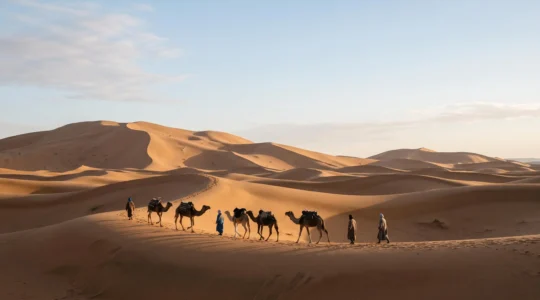 Wide view of a desert caravan silhouette crossing vast golden dunes at dusk, symbolizing human resilience in extreme environments